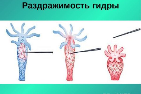 Кракен даркнет ссылка kraken link24 info